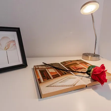 Brg Sx- Attico Terrazza Vista Panoramica Lungarni Pisani * Piza