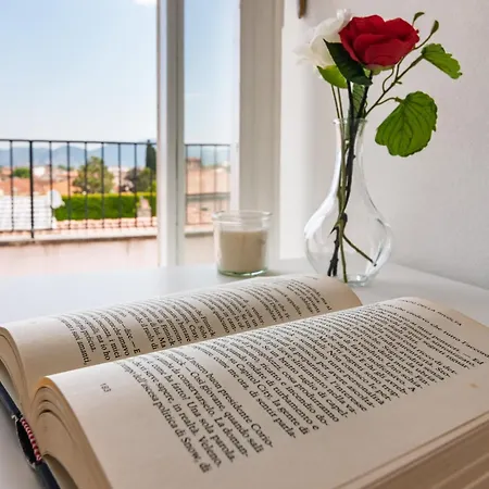 Brg Sx- Attico Terrazza Vista Panoramica Lungarni Pisani